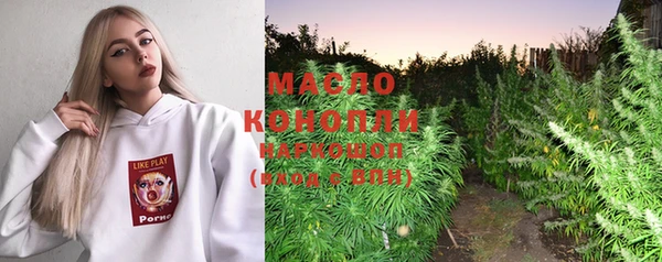 мет Каменка