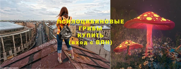 мет Каменка